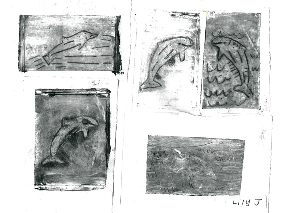 Impact 5 Prints of Dolphins