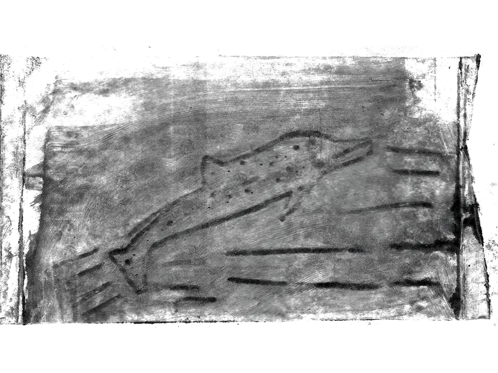 Single Dolphin Splash